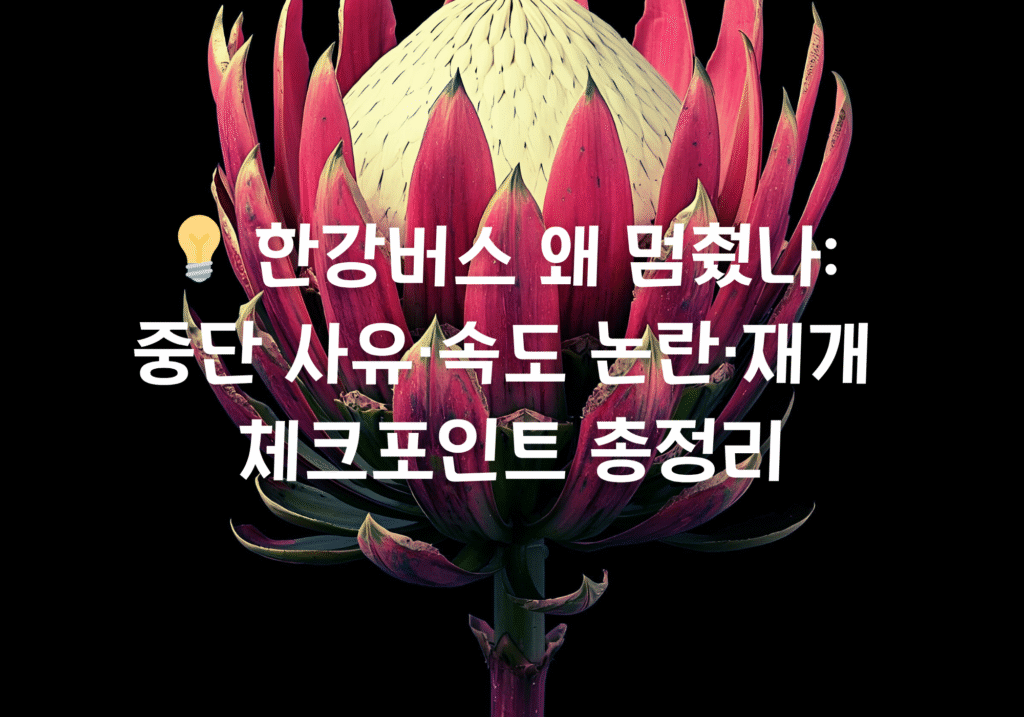 한강버스 왜 멈췄나: 중단 사유·속도 논란·재개 체크포인트 총정리