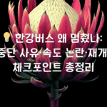 한강버스 왜 멈췄나: 중단 사유·속도 논란·재개 체크포인트 총정리