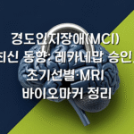 경도인지장애(MCI) 최신 동향: 레카네맙 승인, 조기선별·MRI 바이오마커 정리