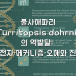 불사해파리(Turritopsis dohrnii)의 역발달: 유전자·메커니즘·오해와 진실