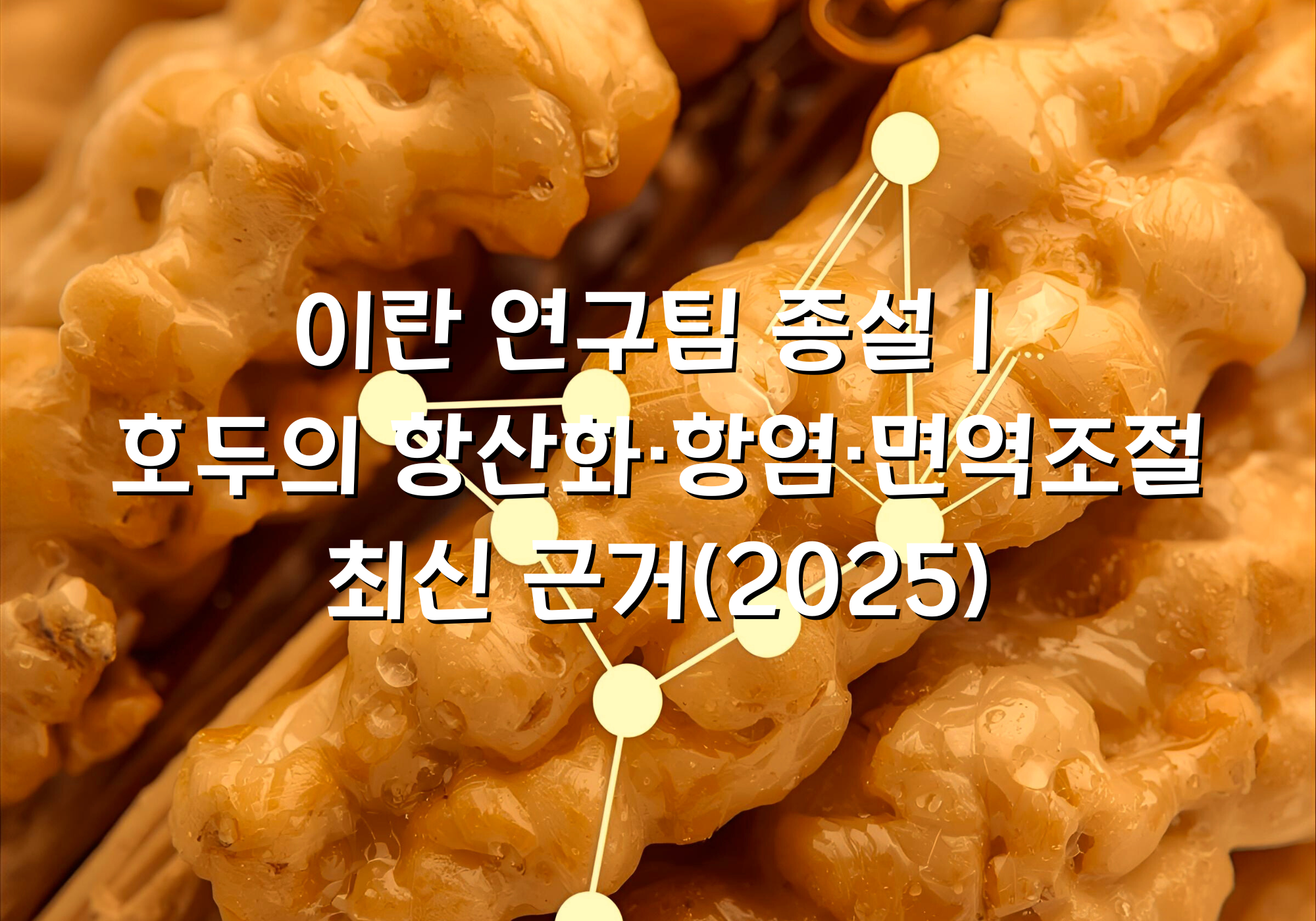 이란 연구팀 종설｜호두의 항산화·항염·면역조절 최신 근거(2025)